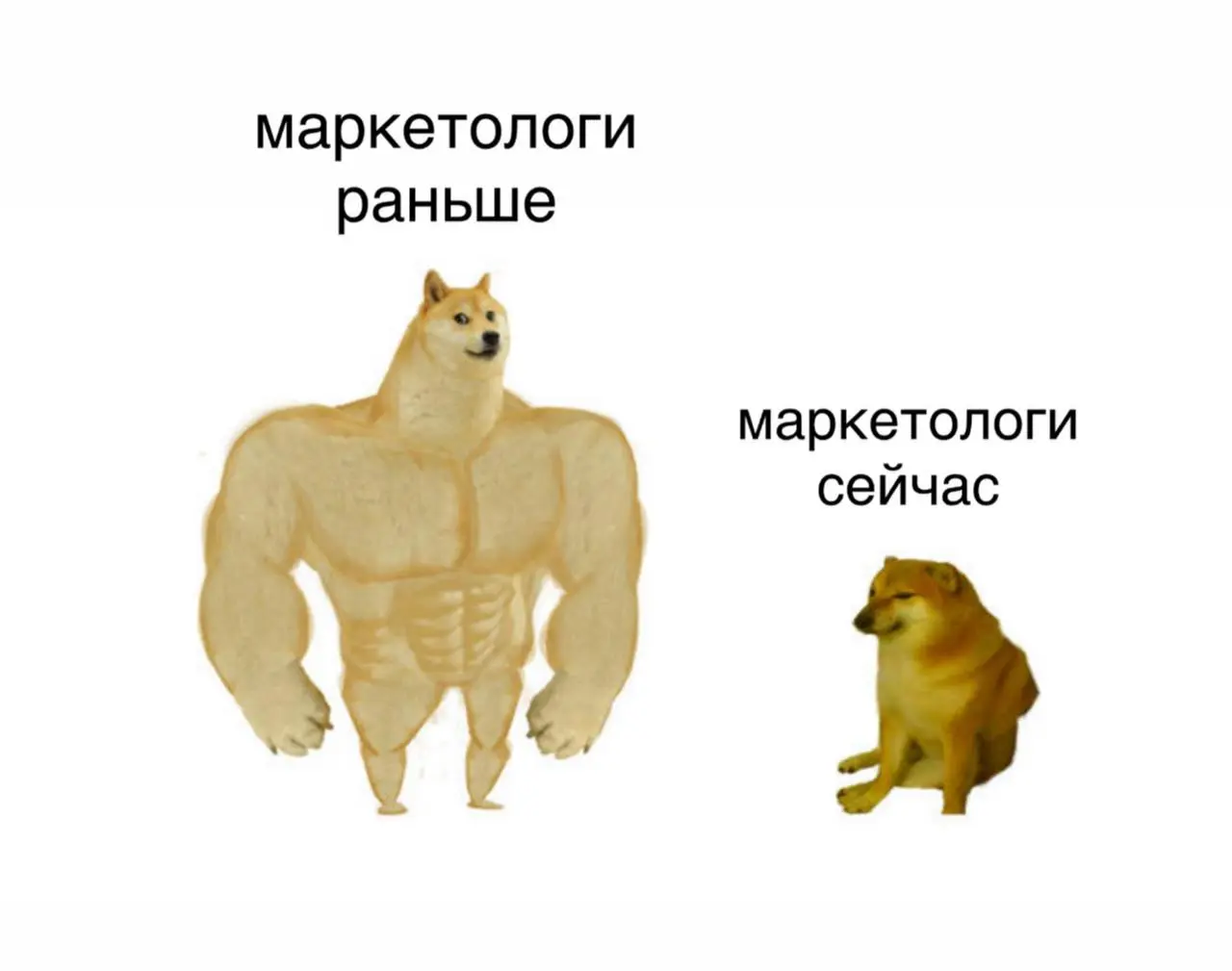 «Маркетологи разучились работать! | Сетка — социальная сеть от hh.ru