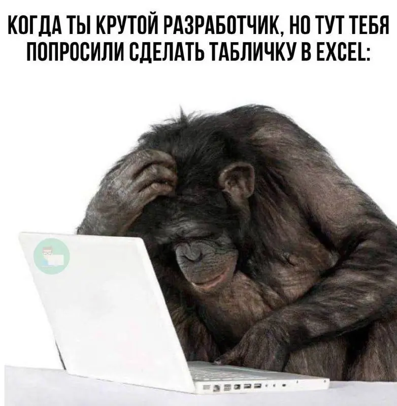 #work #true | Сетка — социальная сеть от hh.ru