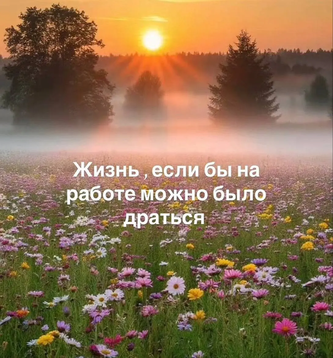 Сетка — социальная сеть от hh.ru