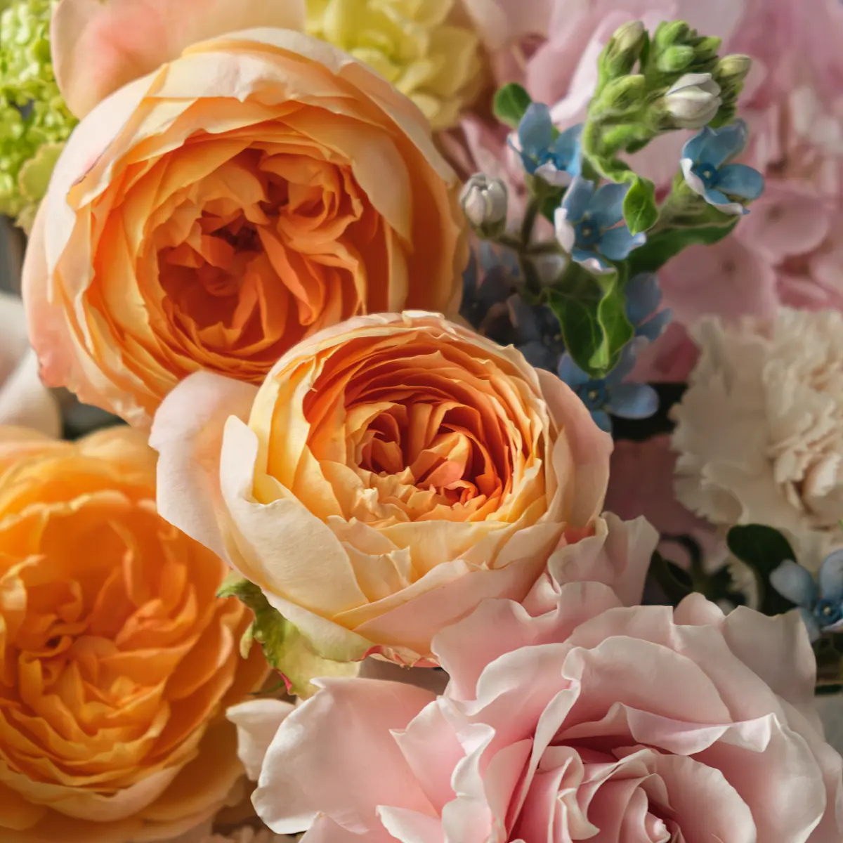 О чем не пишут в коммерческих предложениях 🔥 | Сетка — социальная сеть от hh.ru