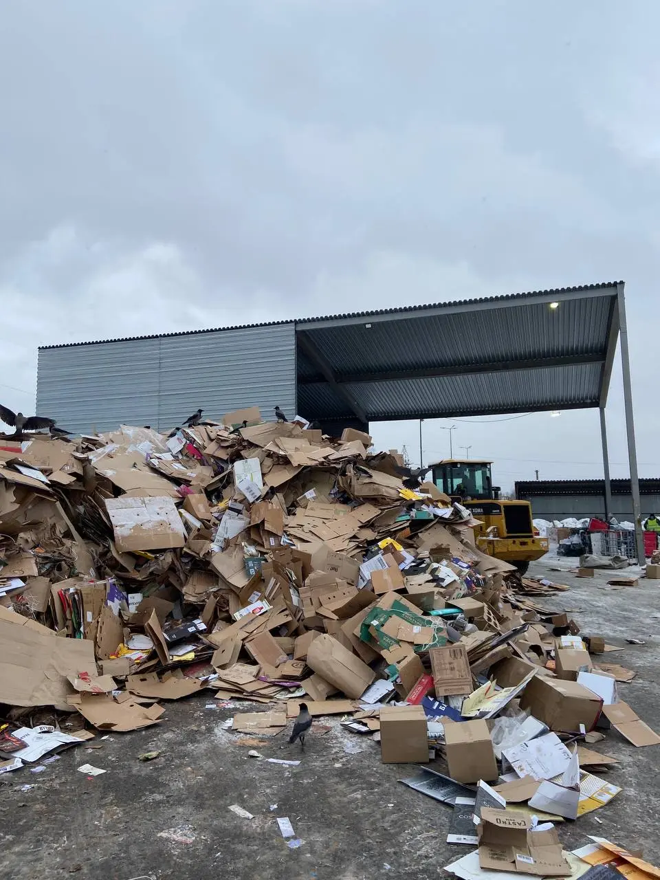 🌿Вместо итогов года:Как 25 заканчивался и как 26 начинался?Прибирала планету! 🌳
А как вы относитесь к разумному потреблению? Все время казалось, что оно ко мне не относится, пока в один из моментов св... | Сетка — социальная сеть от hh.ru