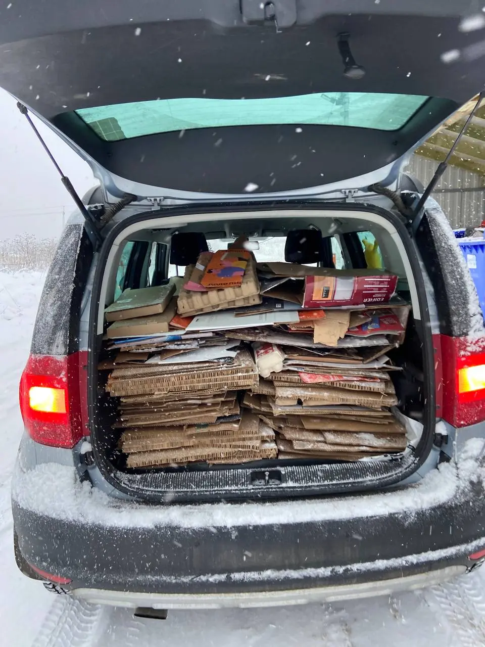 🌿Вместо итогов года:Как 25 заканчивался и как 26 начинался?Прибирала планету! 🌳
А как вы относитесь к разумному потреблению? Все время казалось, что оно ко мне не относится, пока в один из моментов св... | Сетка — социальная сеть от hh.ru