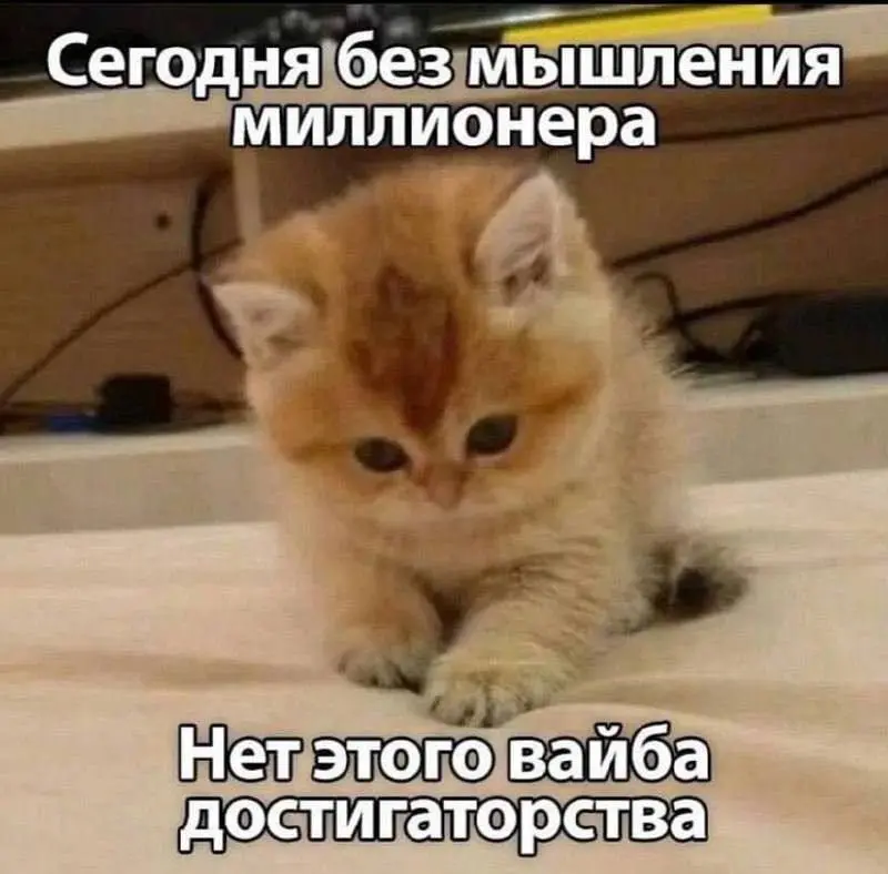 Почему кризис - окно возможностей?
Я вообще не эксперт в экономике, но в людях кое-что понимаю
Мир штормит, прогнозы неутешительны: в одно ухо тебе твердят про обвал рубля и то, что непременно нужно в... | Сетка — социальная сеть от hh.ru