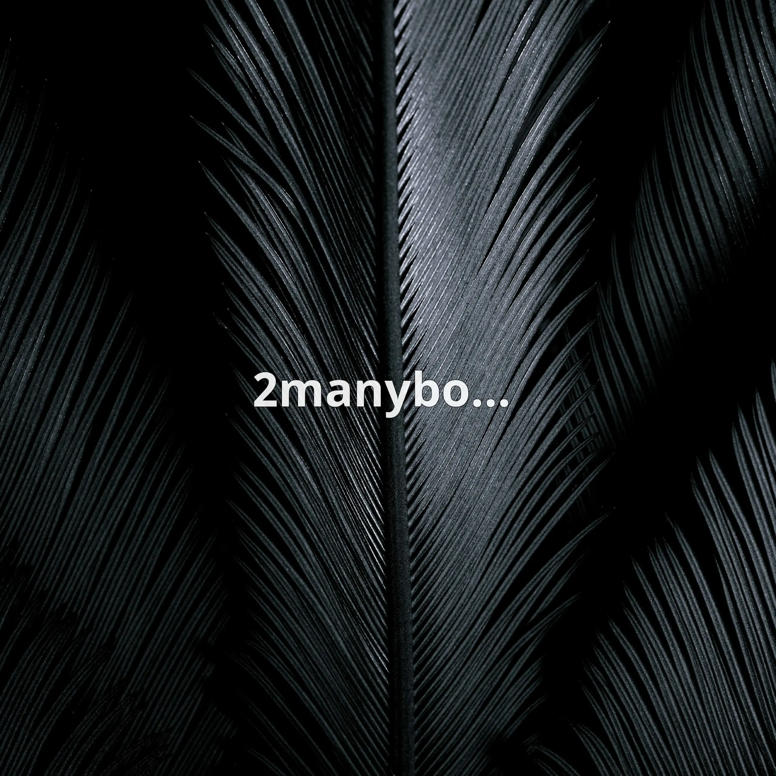 2manybooks – революционное приложение для книгоманов и коллекционеров. Оно позволяет легко цифровизировать, организовывать и управлять вашей библиотекой | Сетка — социальная сеть от hh.ru