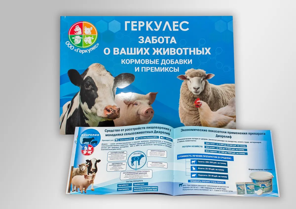 Сувенирный проект с презентационной задачей | Сетка — социальная сеть от hh.ru