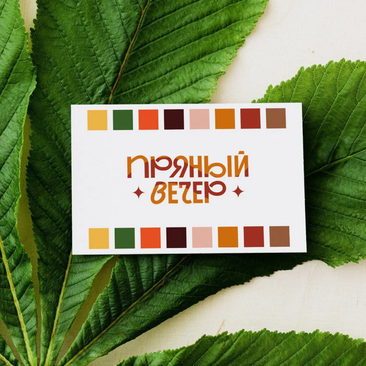 Фирменный стиль для конкурса | Сетка — социальная сеть от hh.ru