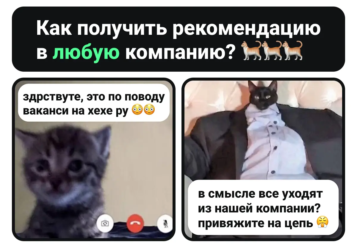 Как получить рекомендацию в любую компанию? 🐈🐈 | Сетка — социальная сеть от hh.ru