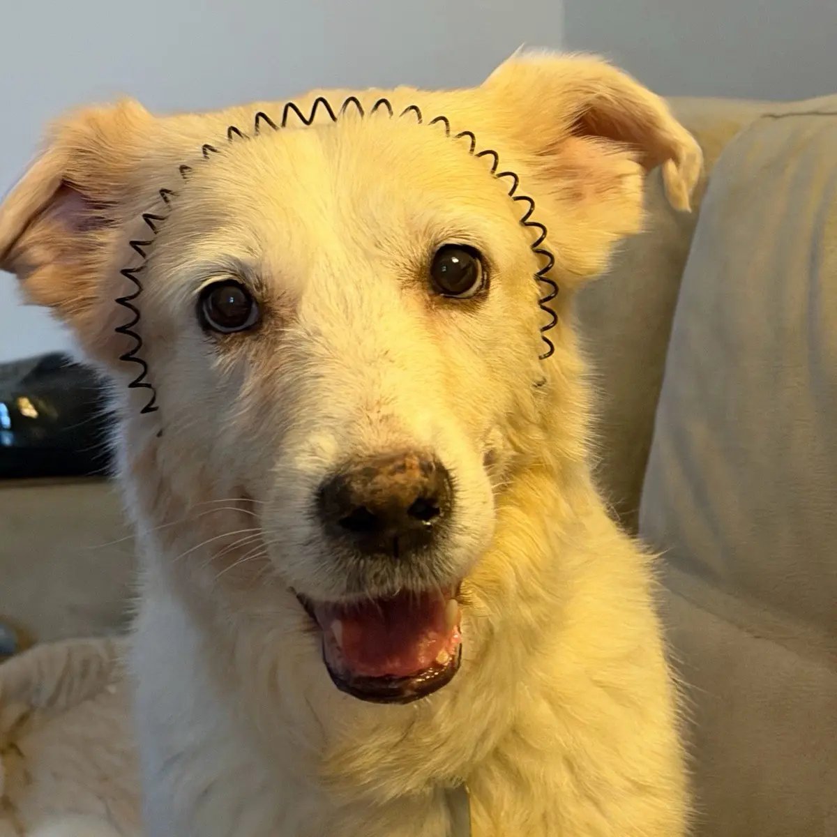 Виктория Болдырева | Сетка — социальная сеть от hh.ru