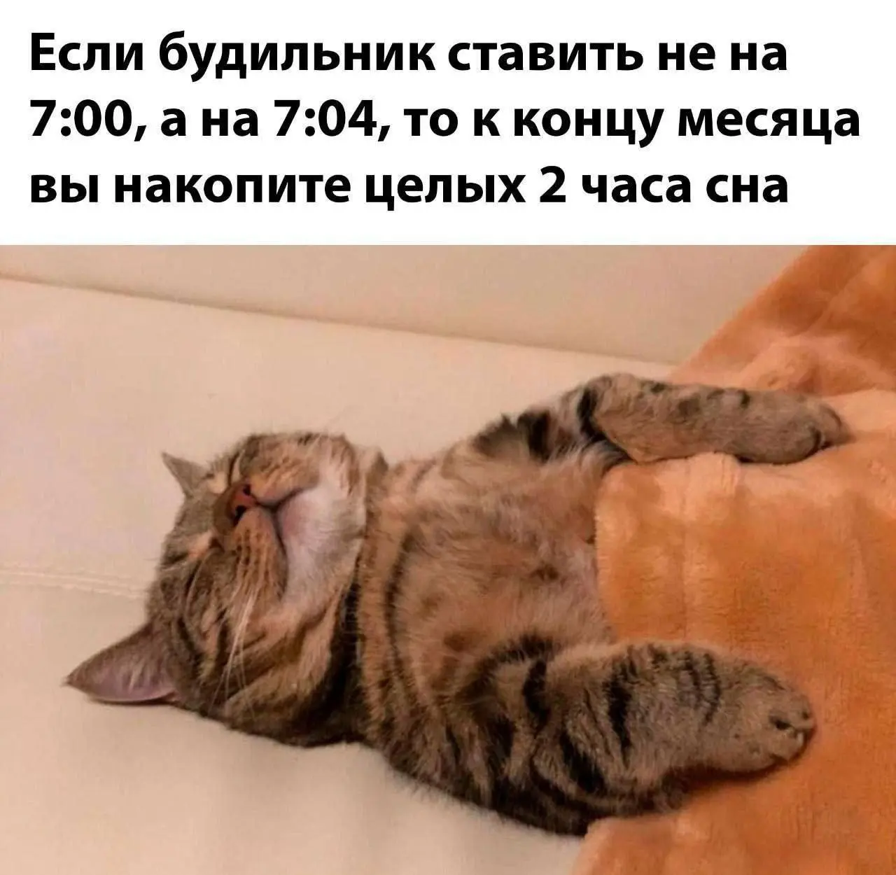 Инвестиции в будильник 😂
#Юмор@poldner #Коты@poldner | Сетка — социальная сеть от hh.ru