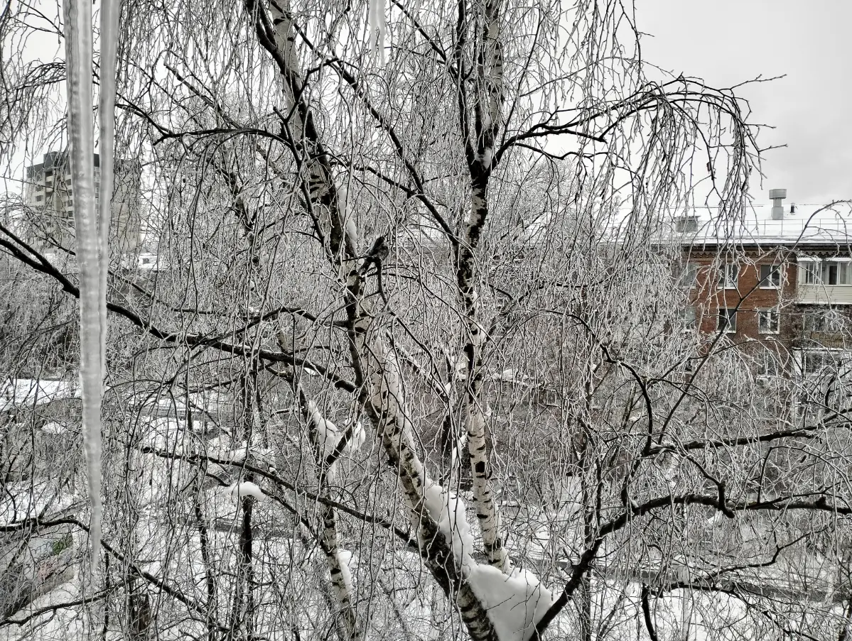 Иней ❄️ | Сетка — социальная сеть от hh.ru