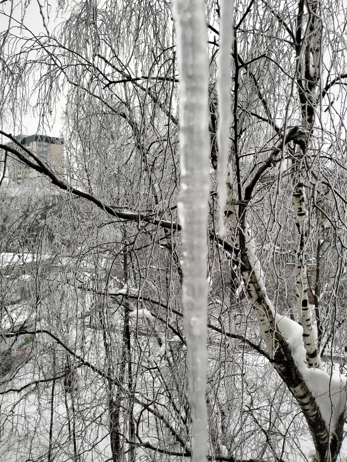 Иней ❄️ | Сетка — социальная сеть от hh.ru