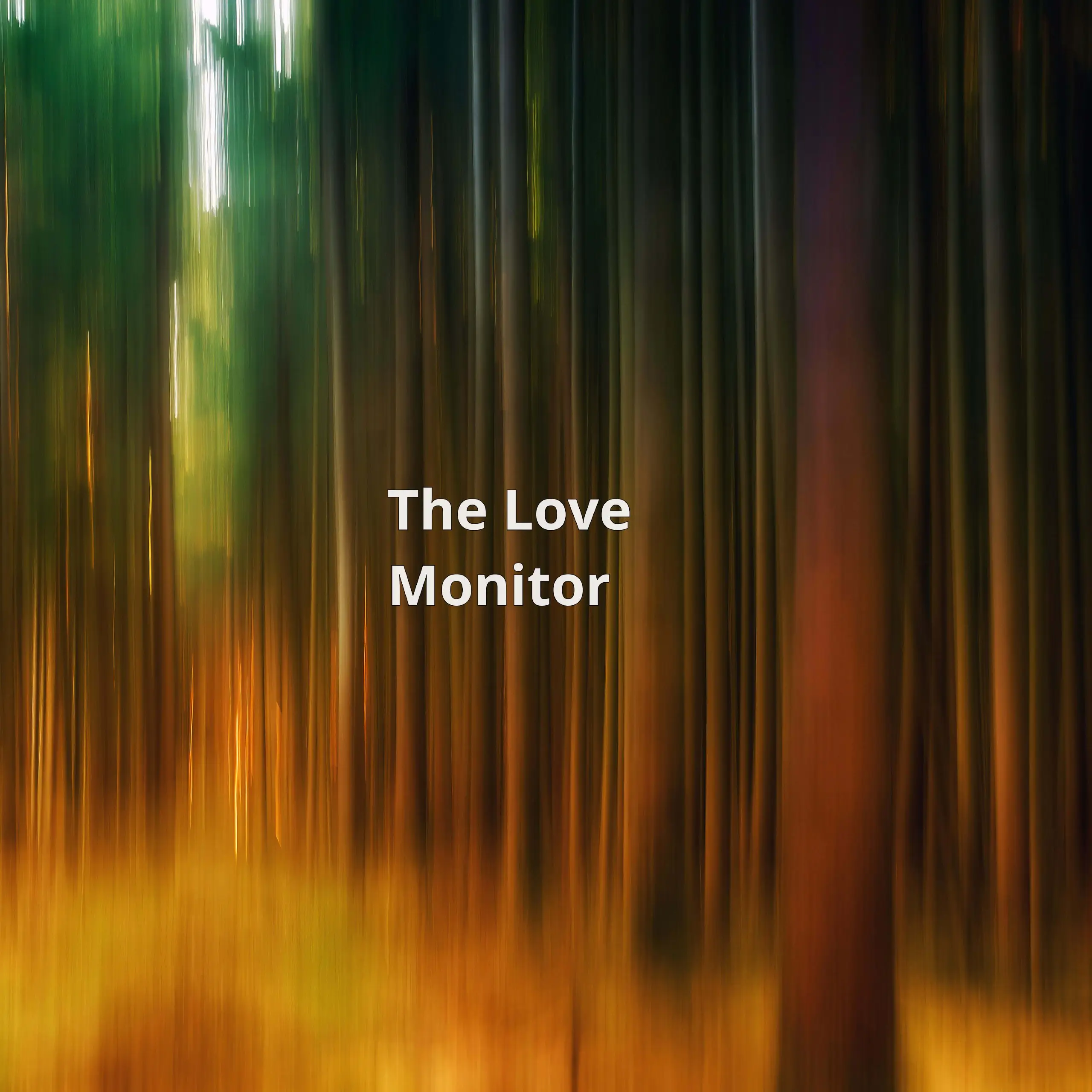 Love Monitor — это инновационная система, созданная для пар, объединяющая прозрачность и доверие. Она состоит из двух устройств: одно носится мужчиной, другое — женщиной | Сетка — социальная сеть от hh.ru