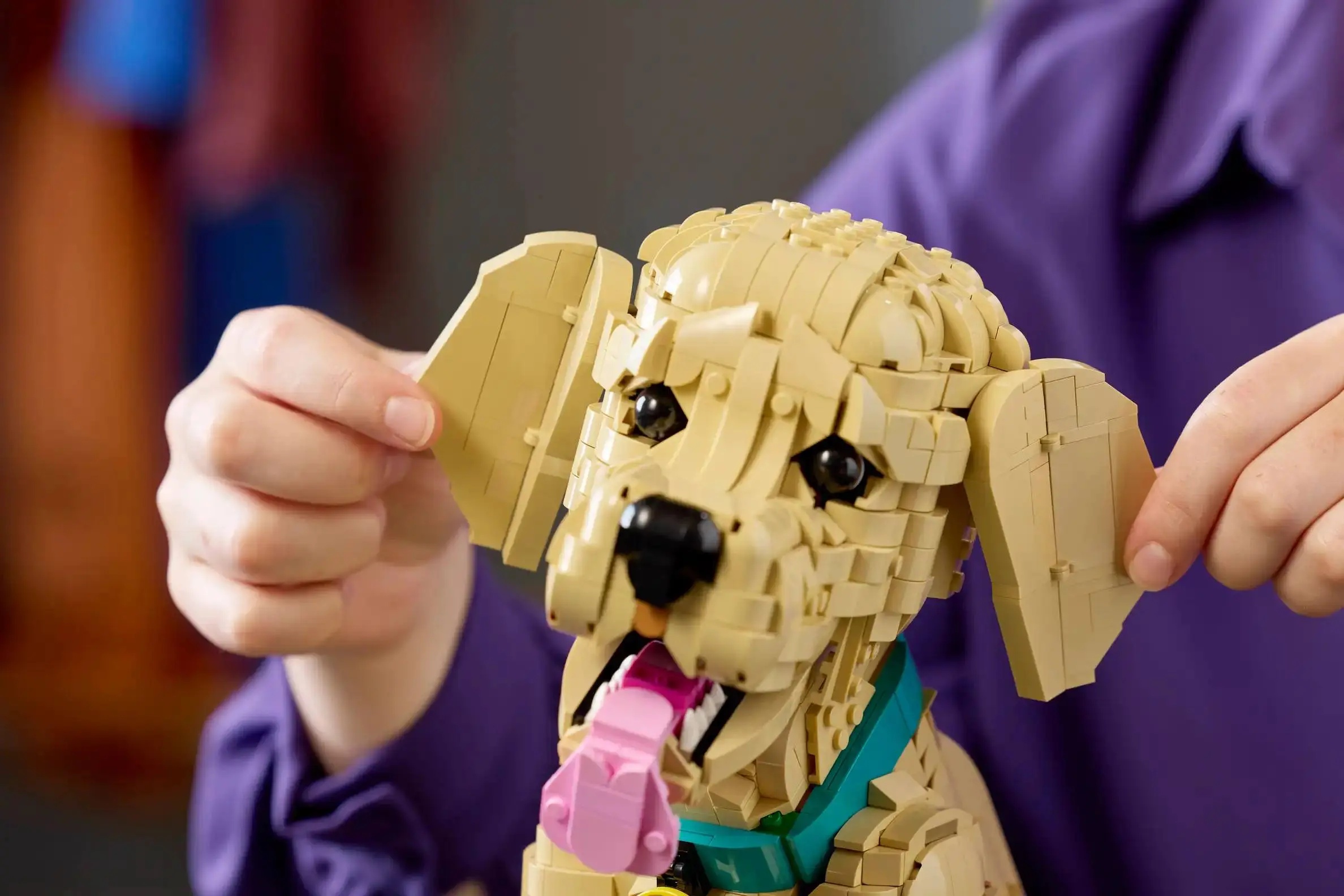 LEGO анонсировали новый набор с щенком золотистого ретривера.
Цена — 140 долларов, почти 11 тысяч рублей.
Берём? | Сетка — социальная сеть от hh.ru
