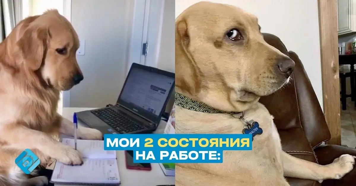 ✉️ Подписывайтесь на БухNews
В этом посте были ссылки, но мы их удалили по правилам Сетки | Сетка — социальная сеть от hh.ru