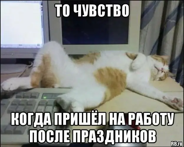 Я вырвался из рабочих задач первой недели, ура!)) Никакой адаптации и времени, чтобы “разогнаться” 😂 Сразу с понедельника окунулся в них с головой и провёл уже несколько встреч с заказчиками, партнёра... | Сетка — социальная сеть от hh.ru