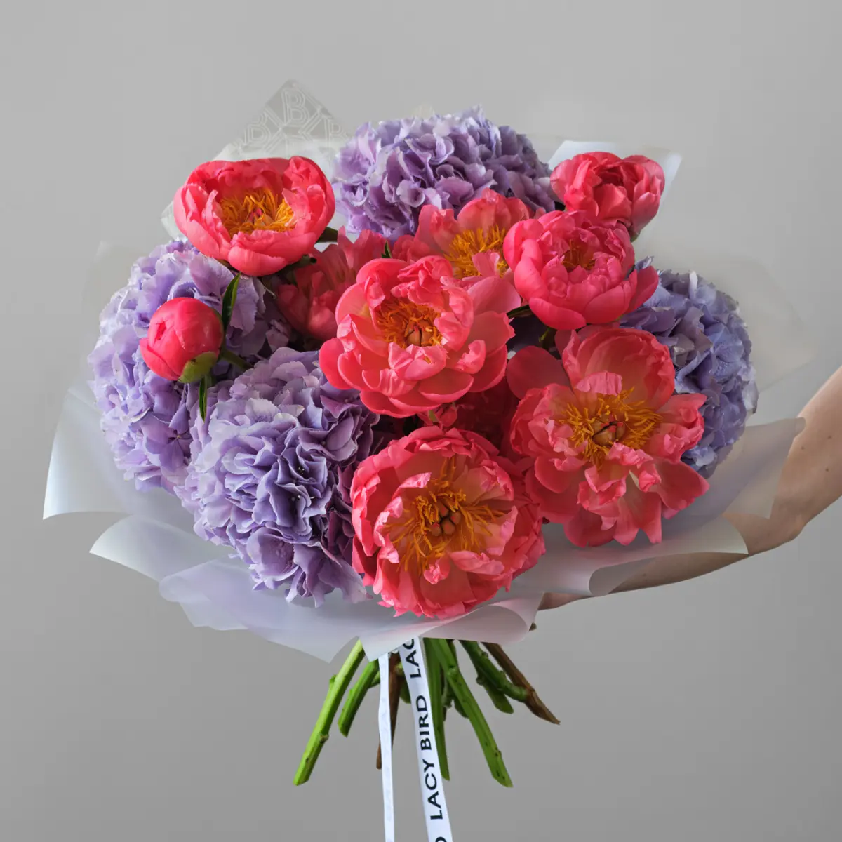 Получите персональное КП за 7 минут. Без звонков и переписки | Сетка — социальная сеть от hh.ru