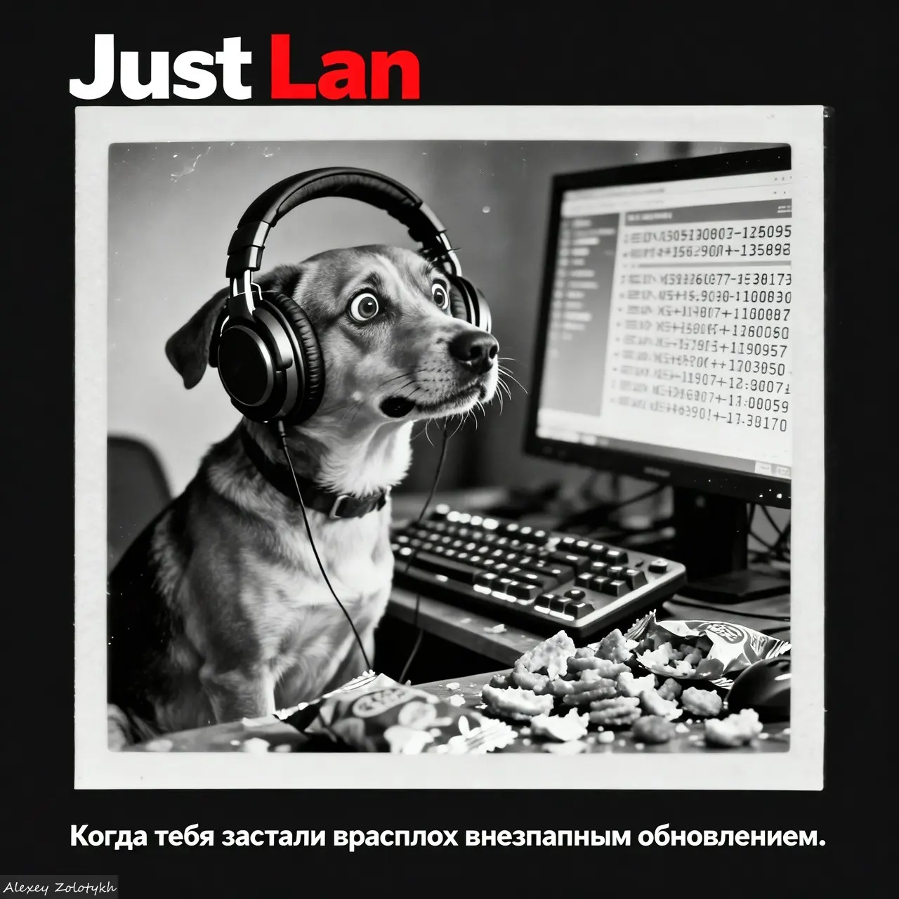 «JustLan» Интернет и телевидение | Сетка — социальная сеть от hh.ru