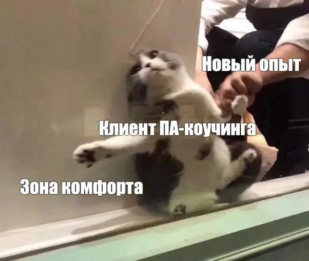 ⚖️ 80% коучинга – это работа с сопротивлением | Сетка — социальная сеть от hh.ru