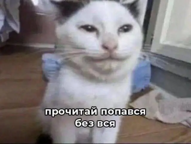 День 142
Я сегодня:
🔤 делала зарядку и массаж
🔤 занималась в зале
🔤 занималась французским с совой
🔤 пила кофе с Дашей | Сетка — социальная сеть от hh.ru