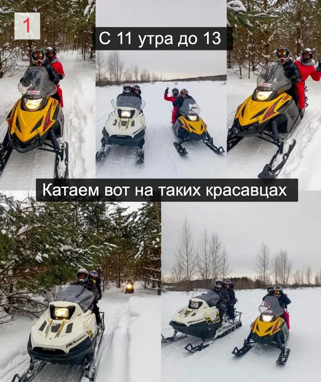 Итак, самые успешные сетевики страны, купившие фундаментальные билет на LINKMEETUP, прилетают в Новосибирск заранее.
Утром 4-го февраля, взбодрённых джетлагом, их привозят в лес и оставлют там | Сетка — социальная сеть от hh.ru