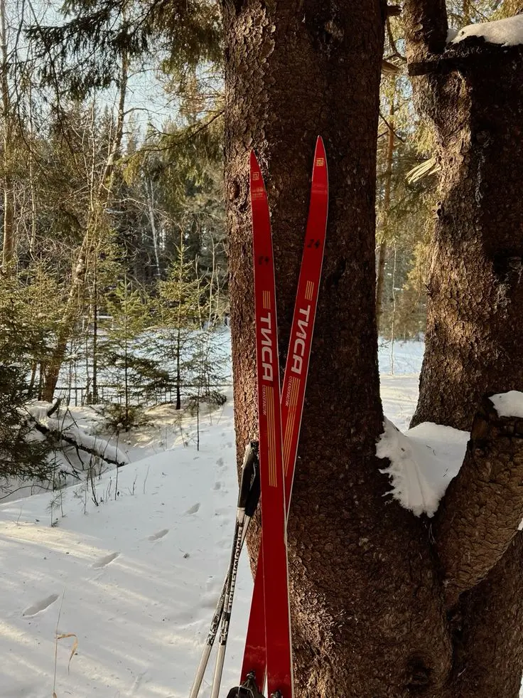🎿Где покататься на лыжах в Москве
📍Парк Северного речного вокзала
🔸Вход свободный, есть прокат
Круглосуточно
📍Измайловский парк
🔸Вход свободный, проката нет
Круглосуточно
📍Парк Северное Тушино
🔸Вход с... | Сетка — социальная сеть от hh.ru