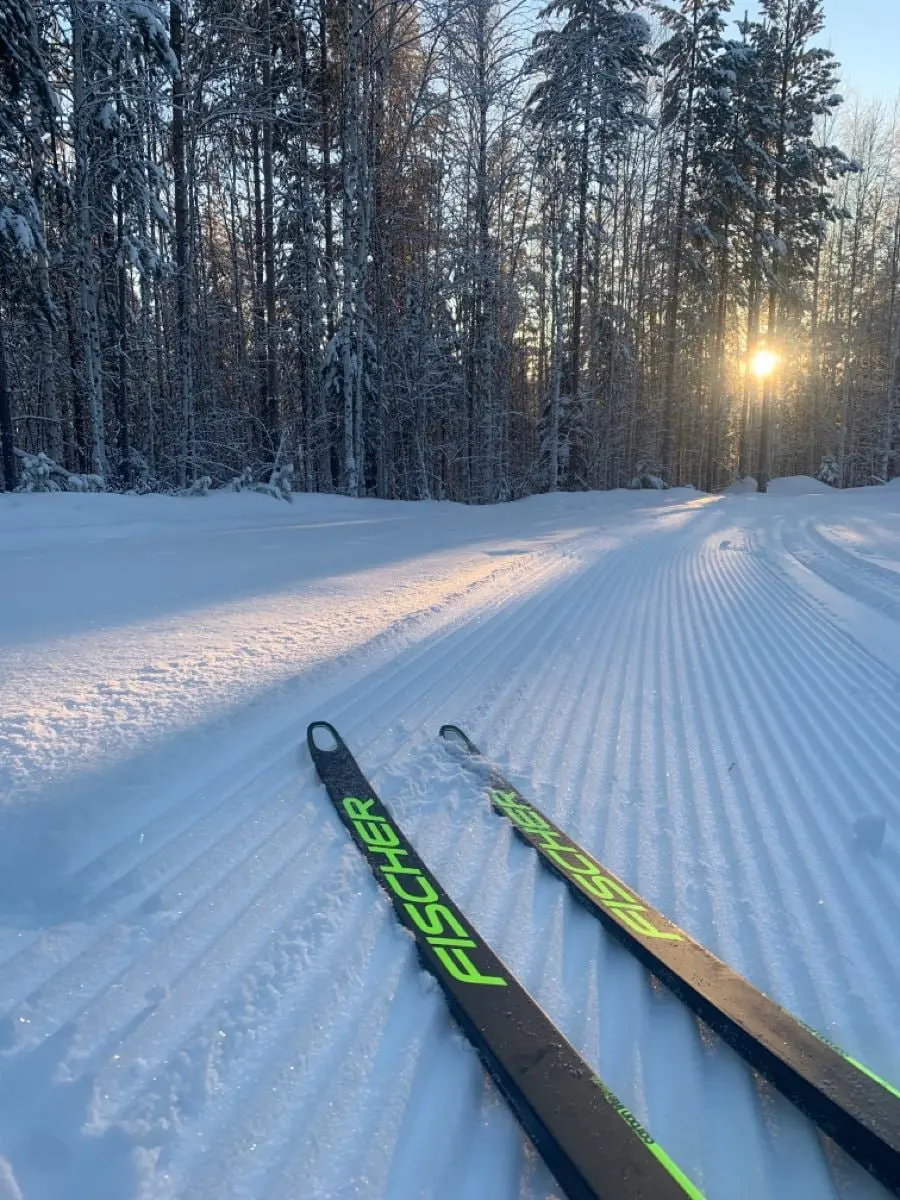🎿Где покататься на лыжах в Москве
📍Парк Северного речного вокзала
🔸Вход свободный, есть прокат
Круглосуточно
📍Измайловский парк
🔸Вход свободный, проката нет
Круглосуточно
📍Парк Северное Тушино
🔸Вход с... | Сетка — социальная сеть от hh.ru