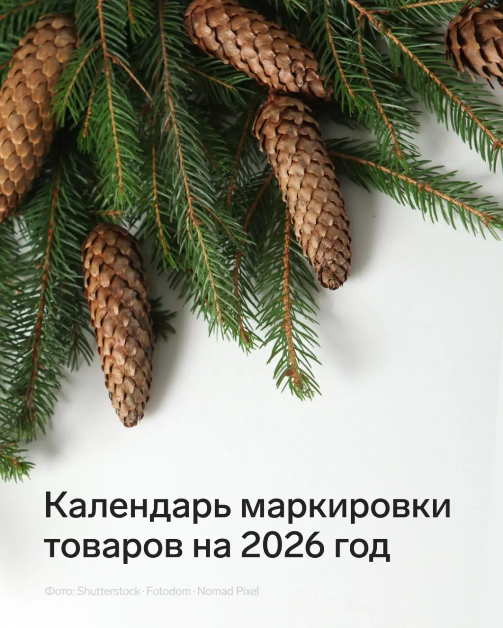 🥁 Что ждет участников маркировки в 2026 году?
В трех товарных группах завершены эксперименты и стартует обязательная маркировка | Сетка — социальная сеть от hh.ru