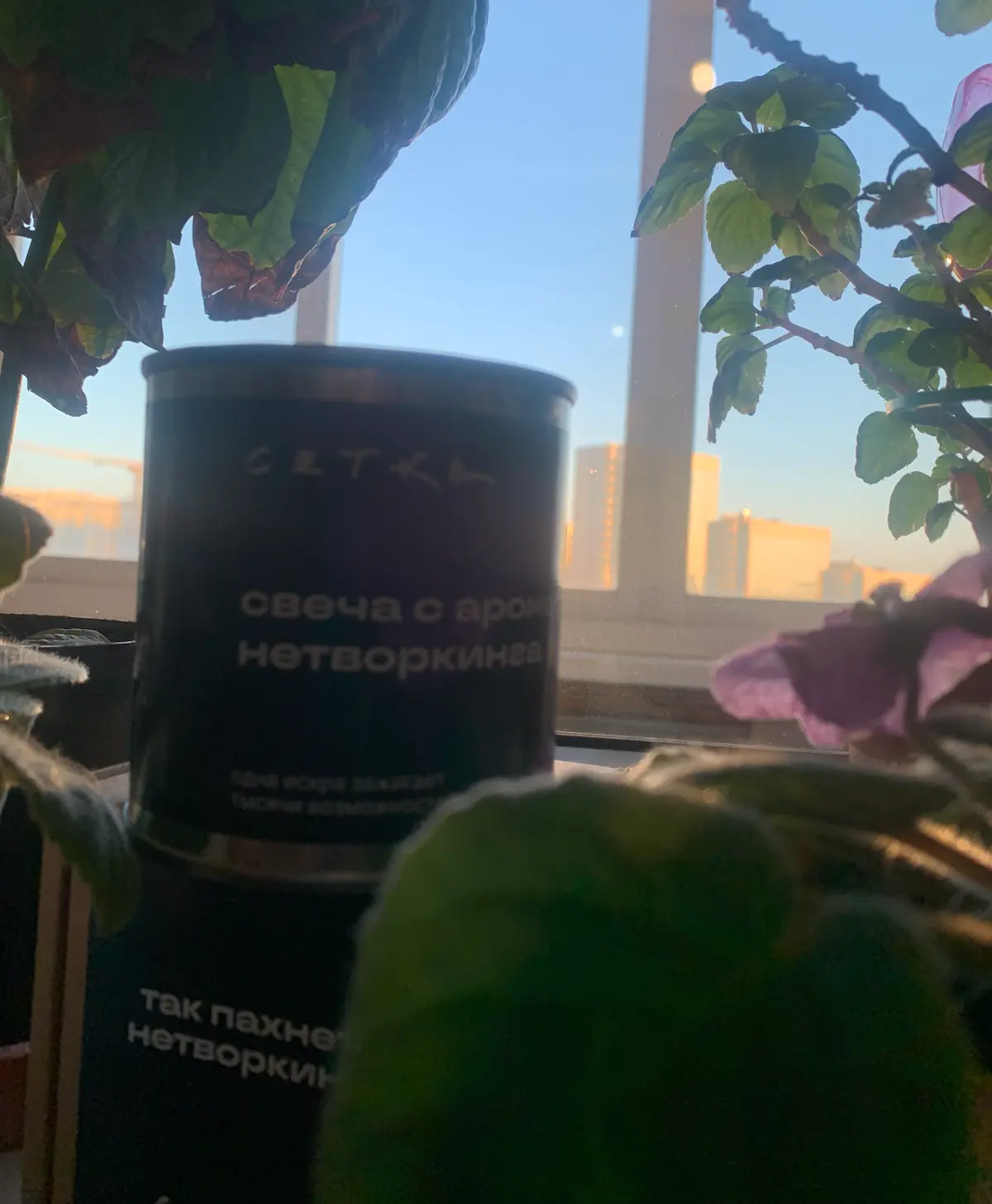 Не трогай свечууууууу 🕯️ | Сетка — социальная сеть от hh.ru