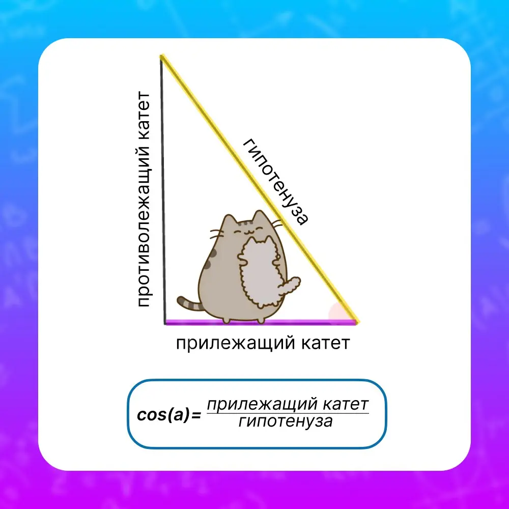 Почему все путают синус с косинусом? Лайфхак для вечной памяти! 🫶
Признавайтесь, кто хотя бы раз в жизни на контрольной в ужасе вспоминал:
Синус — это противолежащий к… гипотенузе? Или косинус?
❌ Стоп... | Сетка — социальная сеть от hh.ru