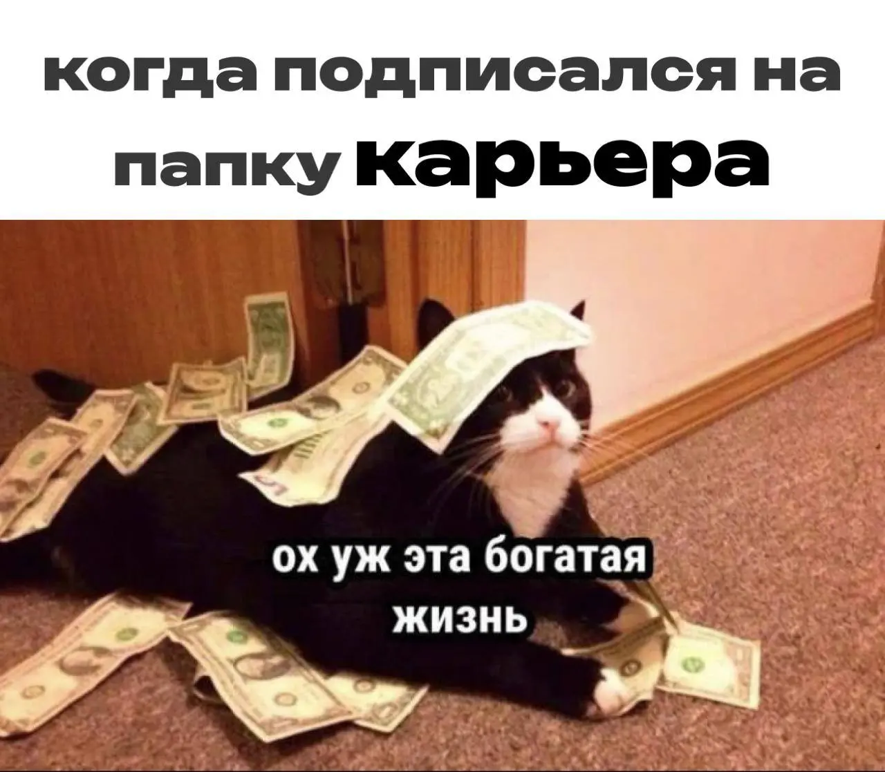 Иногда кажется, что с работой «что-то не так».
Устаете больше, чем раньше.
Достижения есть, но радости нет.
Хочется роста, но непонятно, куда и зачем.
В такие моменты особенно важно быть не в одиночку | Сетка — социальная сеть от hh.ru