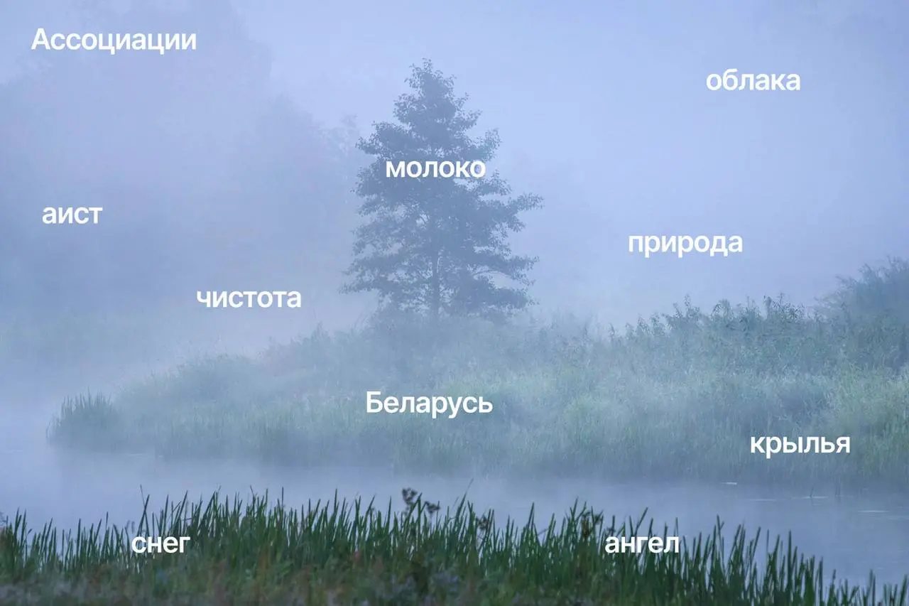 Агентство Fabula Branding провело ребрендинг базовой линейки Рогачевского молочноконсервного комбината — обновили айдентику упаковки молока, йогуртов, сметаны и творога, придумав новое позиционировани... | Сетка — социальная сеть от hh.ru
