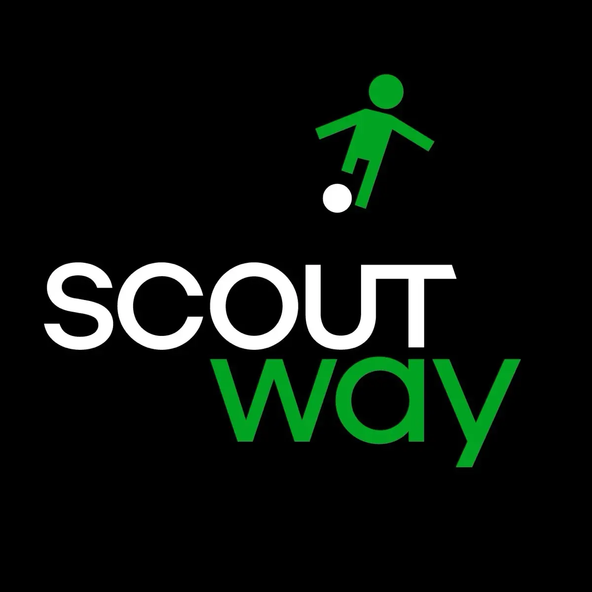 ScoutWay