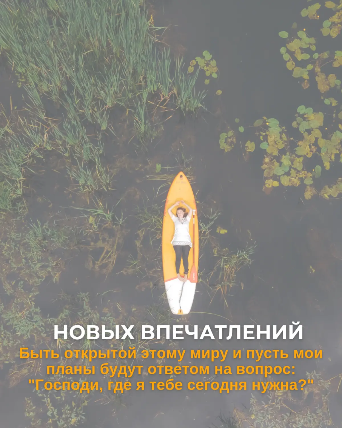 А чего вы хотите в 2026? | Сетка — социальная сеть от hh.ru