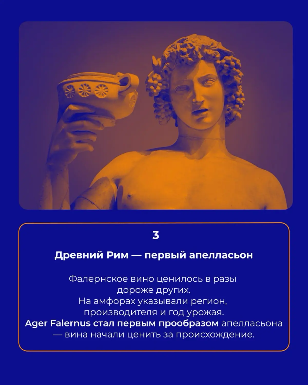История вина 🍇 | Сетка — социальная сеть от hh.ru
