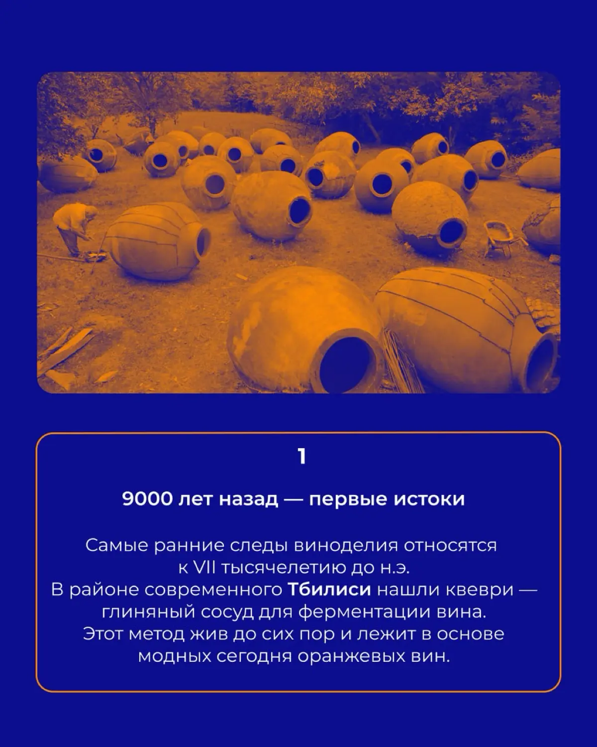 История вина 🍇 | Сетка — социальная сеть от hh.ru