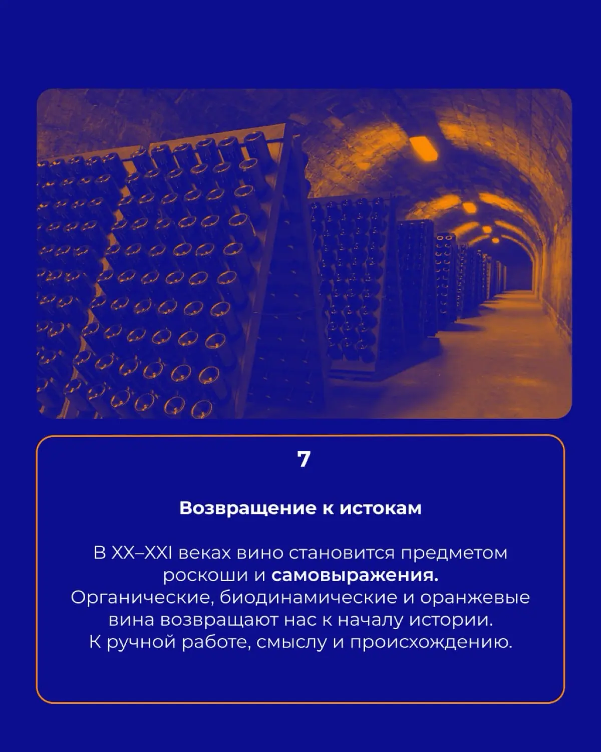 История вина 🍇 | Сетка — социальная сеть от hh.ru