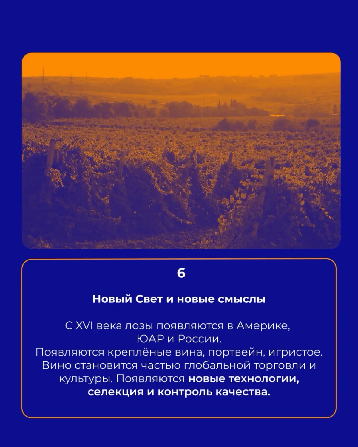 История вина 🍇 | Сетка — социальная сеть от hh.ru