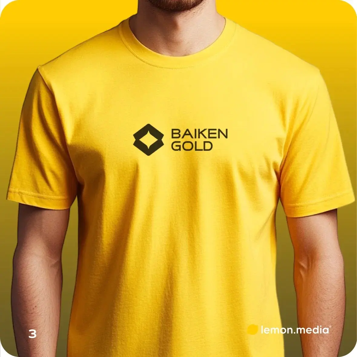 Логотип для компании «BAIKEN GOLD» | Сетка — социальная сеть от hh.ru