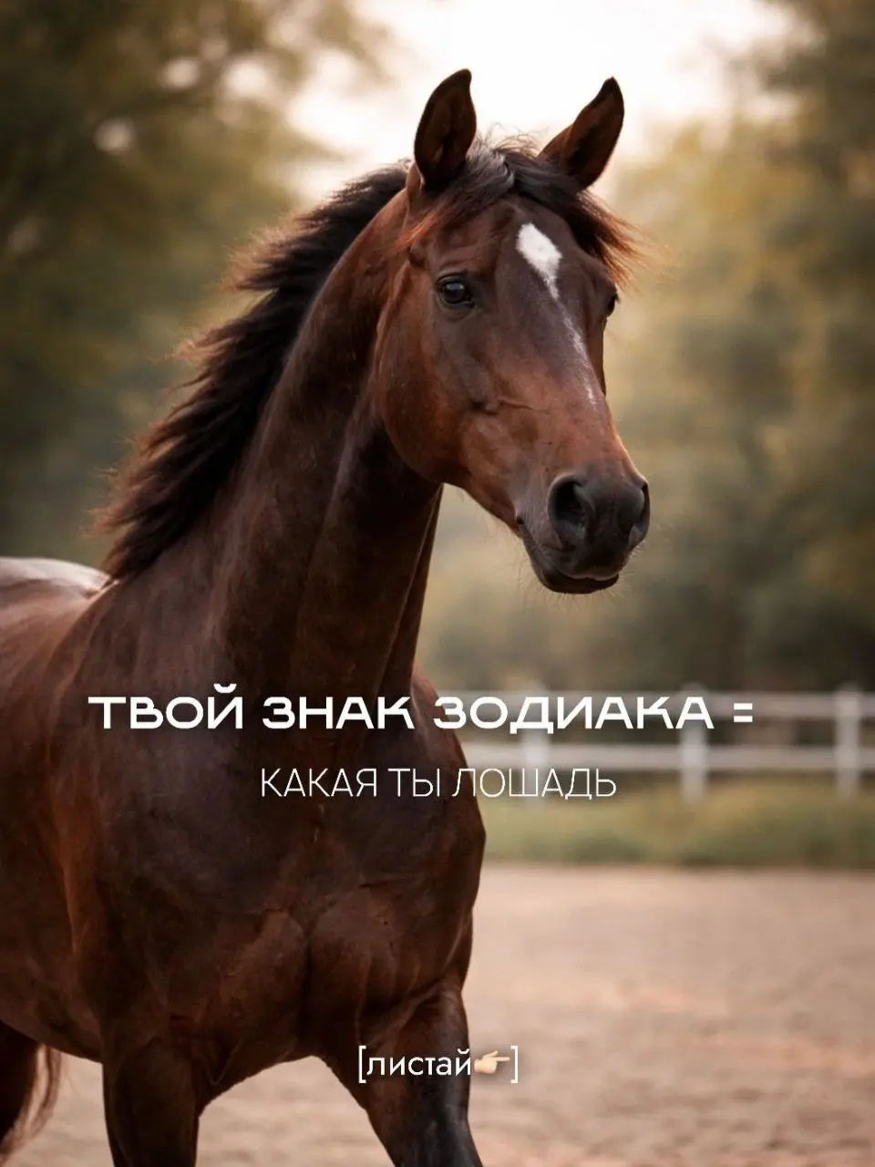 Характер человека и характер лошади часто совпадают.
По чувствительности, реакции, темпу и глубине | Сетка — социальная сеть от hh.ru