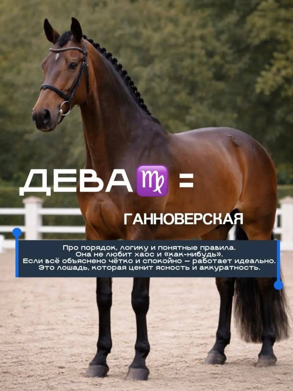Характер человека и характер лошади часто совпадают.
По чувствительности, реакции, темпу и глубине | Сетка — социальная сеть от hh.ru