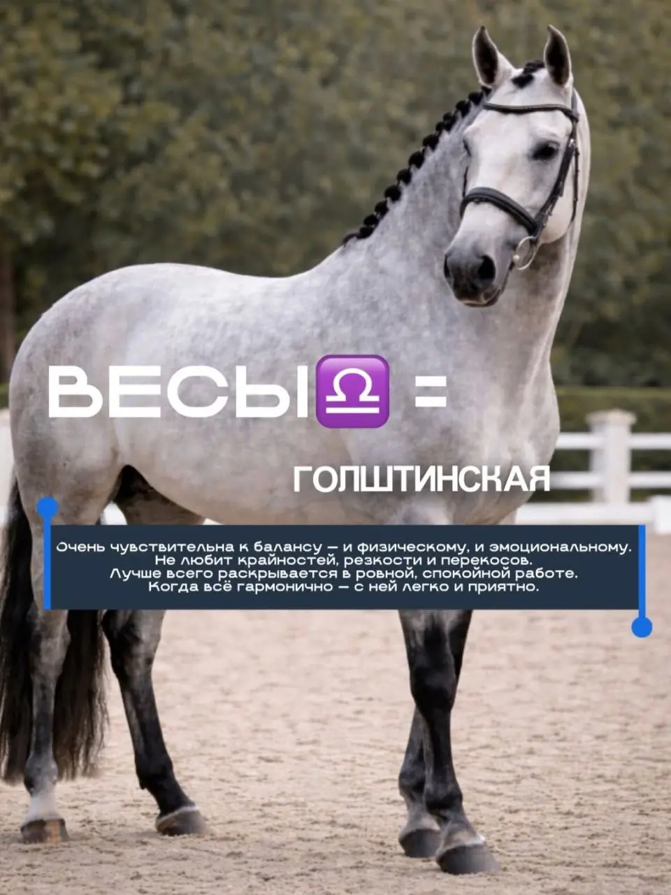 Характер человека и характер лошади часто совпадают.
По чувствительности, реакции, темпу и глубине | Сетка — социальная сеть от hh.ru