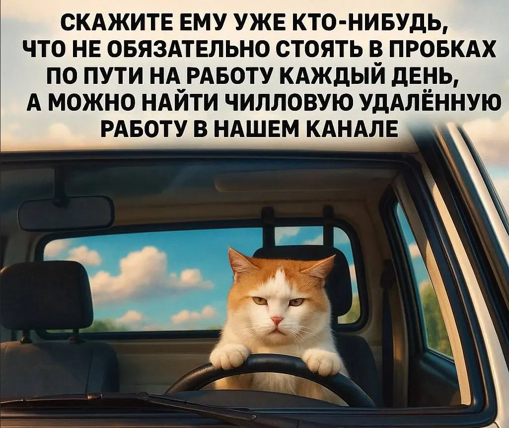 Ты тоже можешь зарабатывать сидя дома.
В нашем канале нет фейковых вакансий, только реальные предложения от проверенных работодателей | Сетка — социальная сеть от hh.ru