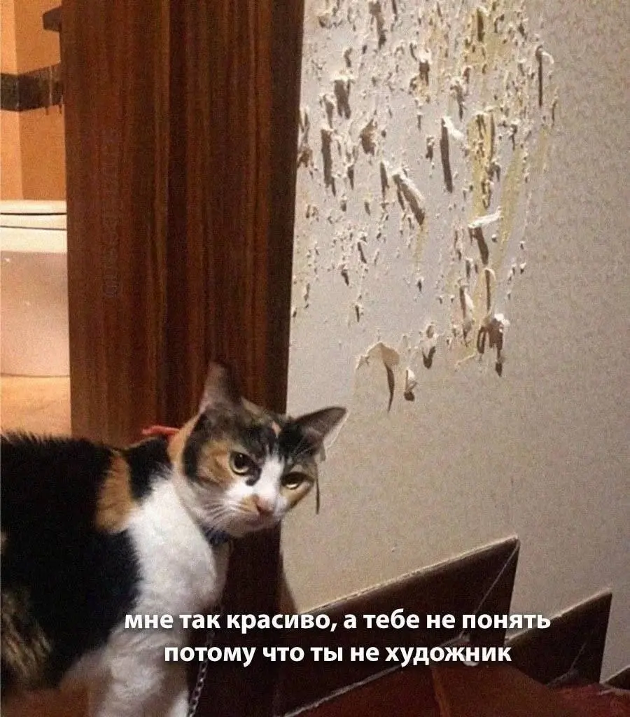 Я - художник, я - так вижу 😂
#Юмор@poldner #Коты@poldner | Сетка — социальная сеть от hh.ru