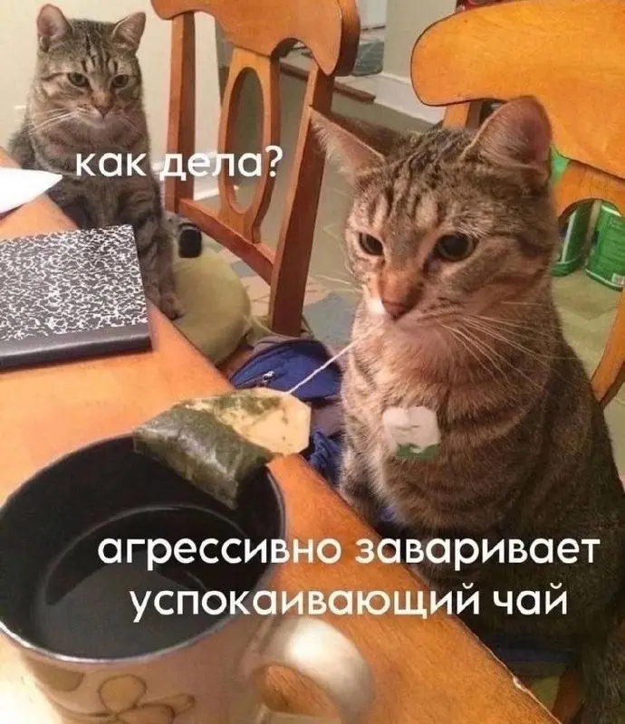 Пьем чаек и идем работать пятницу! | Сетка — социальная сеть от hh.ru