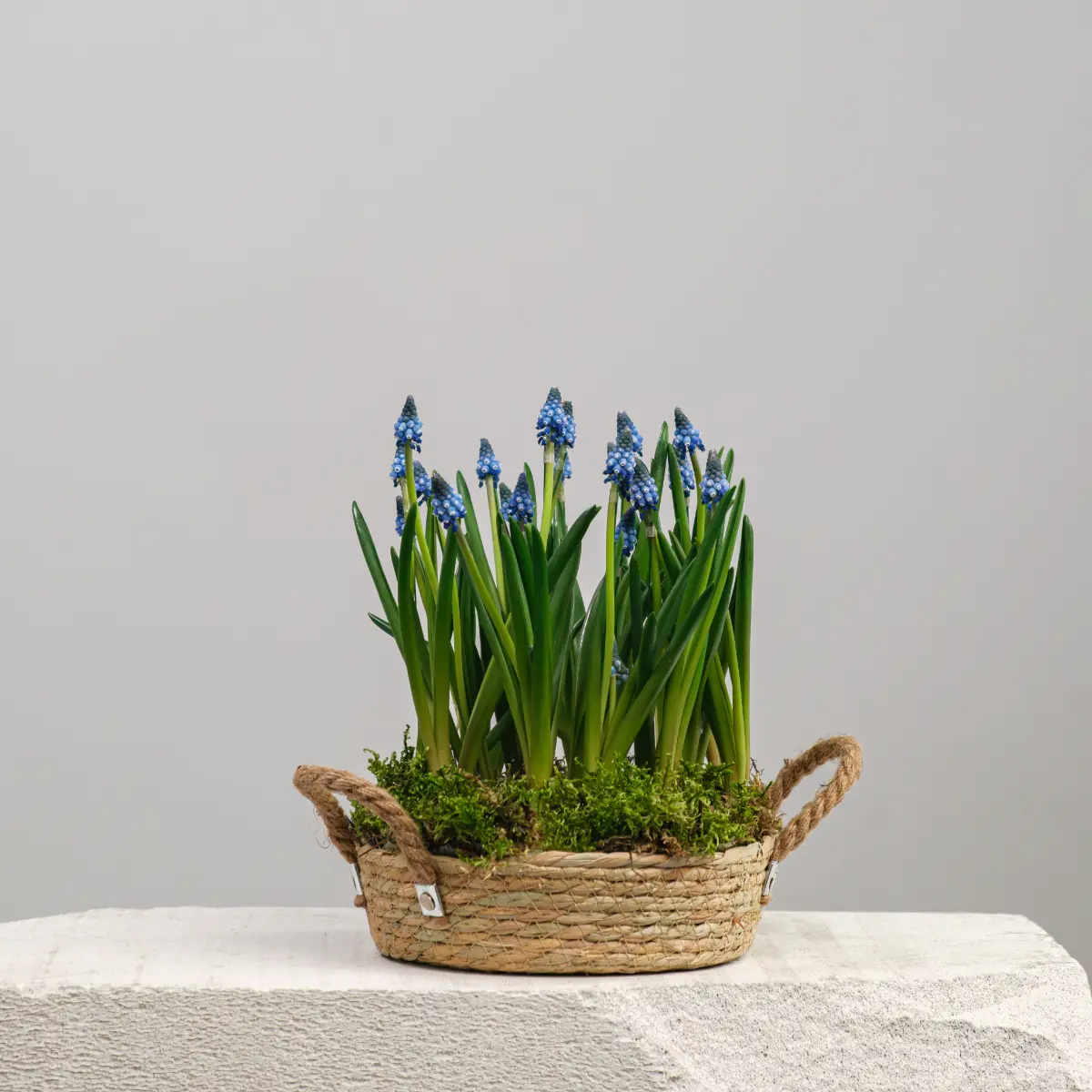 3 неочевидные идеи корпоративных подарков на 8-е марта 🕊️ | Сетка — социальная сеть от hh.ru