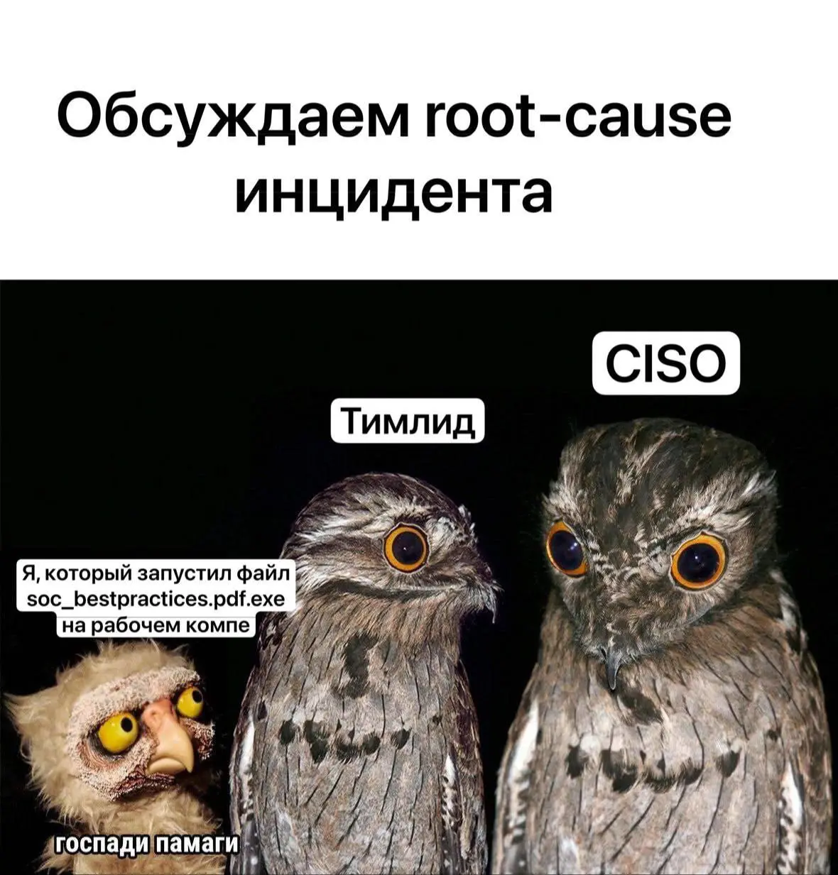 С пятницей коллеги | Сетка — социальная сеть от hh.ru