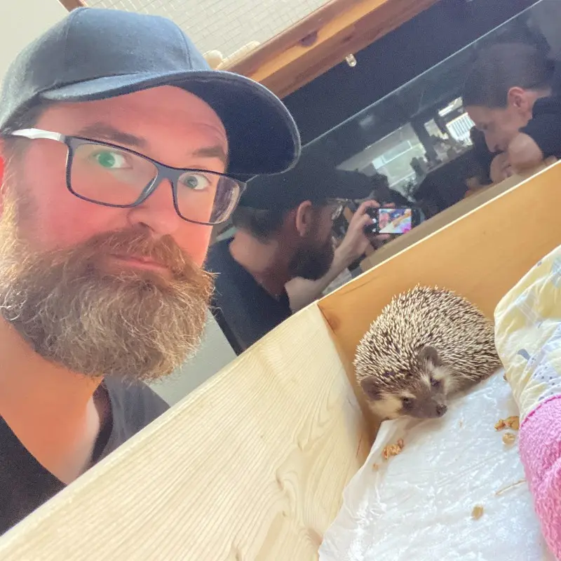 Network member avatar