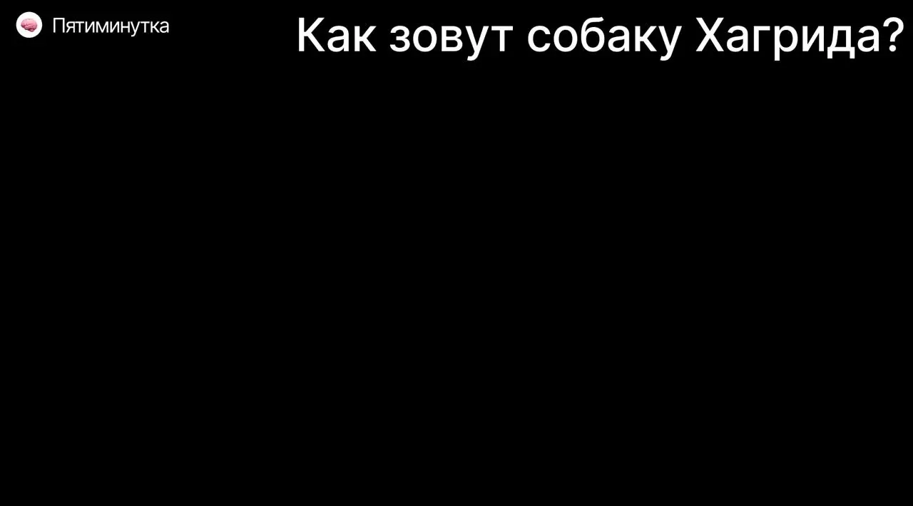 Все, что вам нужно знать о нашей в компании любви к Гарри Поттеру 💜
Я вам уже рассказывала, что каждую пятницу в 14:00 у нас проходят итоги недели. Коммерция рассказывает, какие новые победы случились | Сетка — социальная сеть от hh.ru