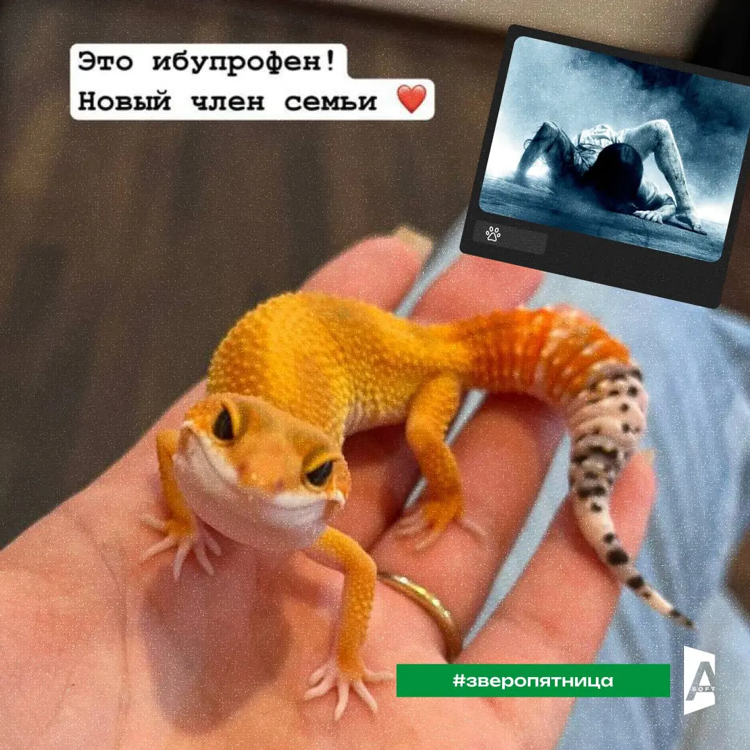 Кино #Зверопятница
У нас свои номинанты на премию Оскар 😎 | Сетка — социальная сеть от hh.ru