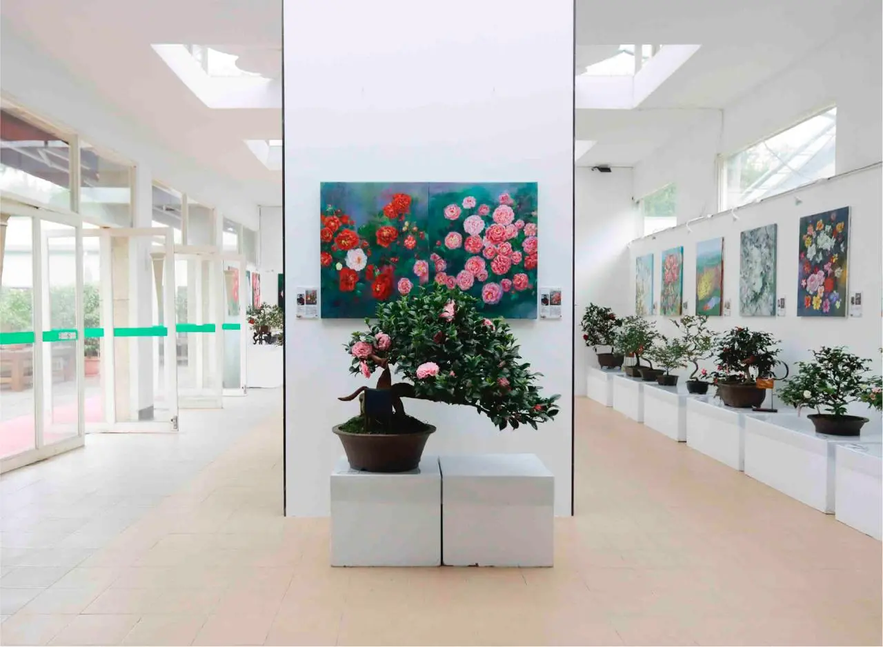 В Тайбэе заканчивают работу Taipei Camellia Show — совершенно чудесный праздник камелий, у значительной части которых как раз сейчас период цветения.. | Сетка — социальная сеть от hh.ru